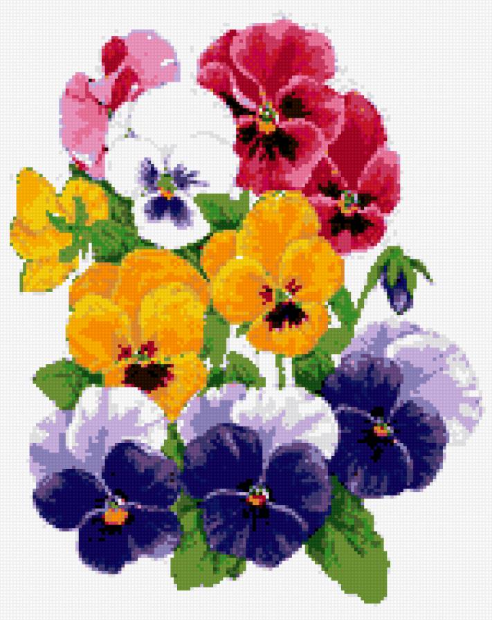 анютины глазки - цветы, анютины глазки - предпросмотр