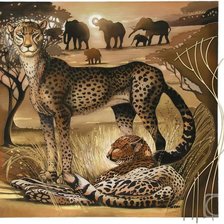 Схема вышивки «Саванна»