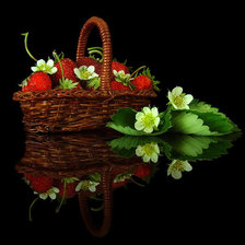 Схема вышивки «№589774»