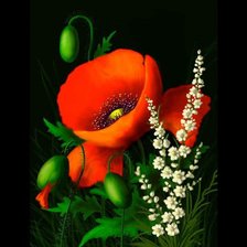 Схема вышивки «Маки и ландыши»