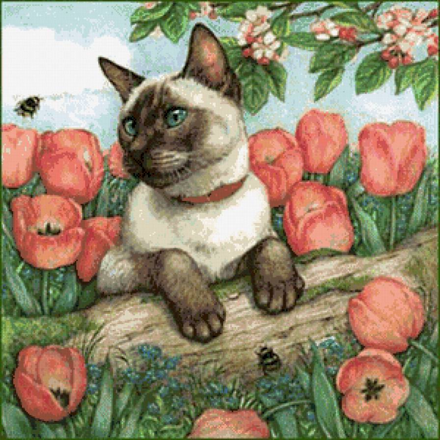 любопытный - котики, пчелки, цветы, маки - предпросмотр