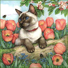 Схема вышивки «любопытный»