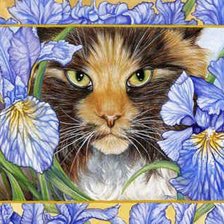 Схема вышивки «кошачий портрет»