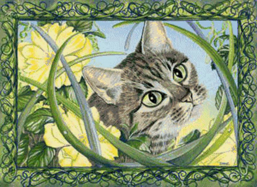 кошачий портрет - котики - предпросмотр