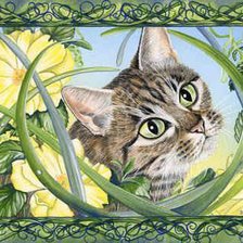 кошачий портрет