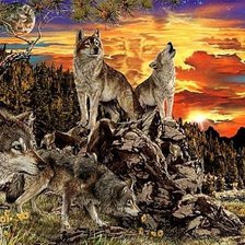 Схема вышивки «Волчата»