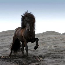 Схема вышивки «rjym»