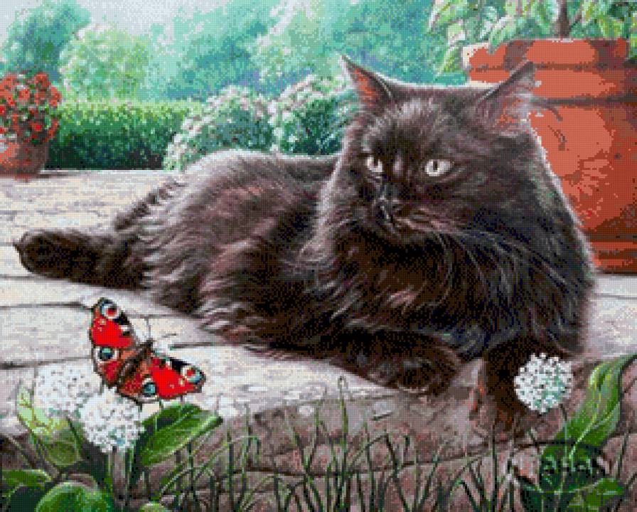 кот и бабочка - бабочка, котики - предпросмотр