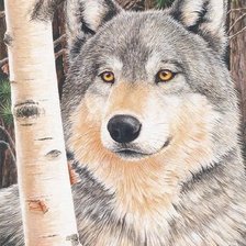 Схема вышивки «волк»