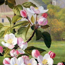 Схема вышивки «№590219»