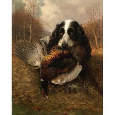 Схема вышивки «Спаниель с фазаном»