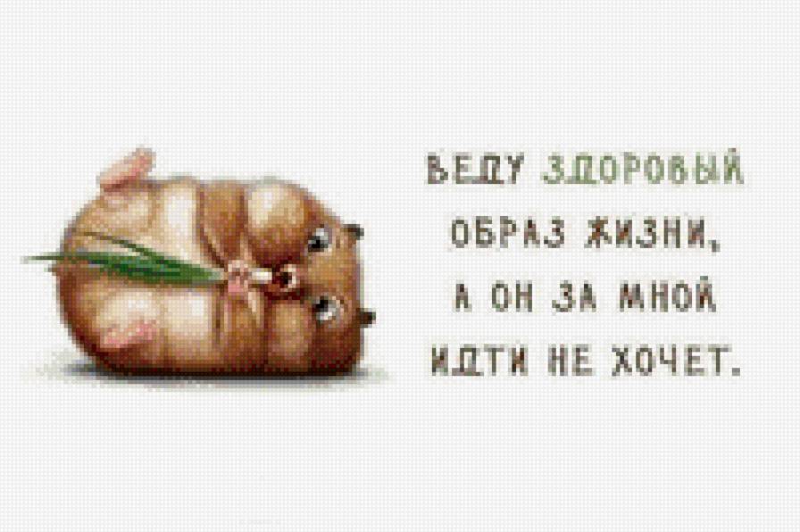 Хомяк - предпросмотр