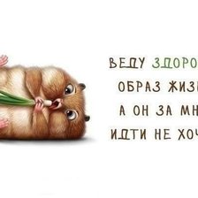 Схема вышивки «Хомяк»