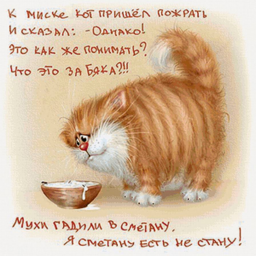 Котик - кот, животное - предпросмотр