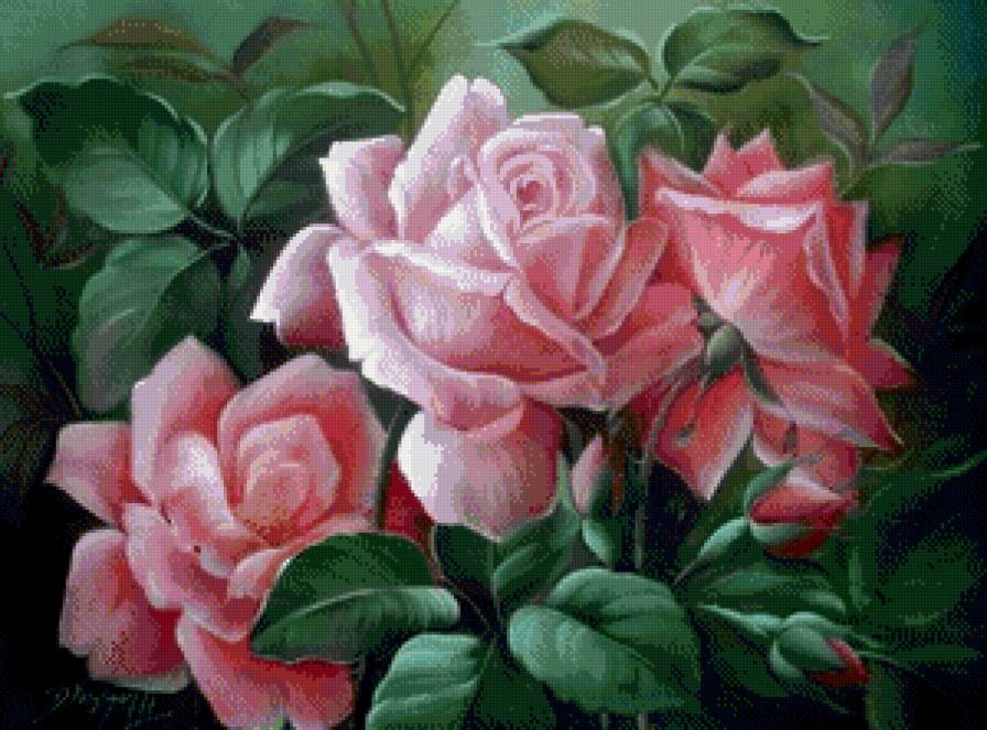 Розовые розы - букет, цветы, розы - предпросмотр