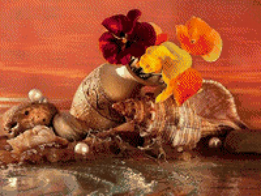 цветы - цветы, море, ракушка - предпросмотр