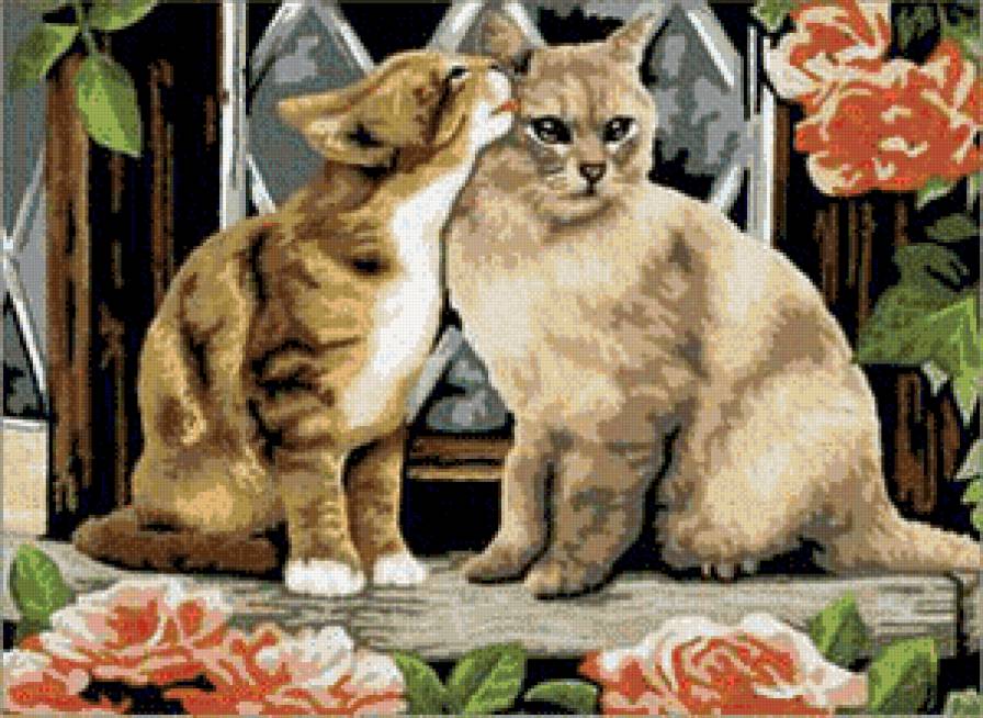 дайно я тебя пацалую - котики - предпросмотр