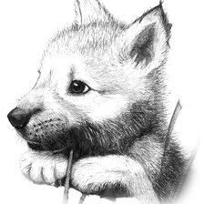 Схема вышивки «волчонок»