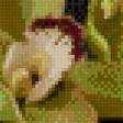 Предпросмотр схемы вышивки «№590528»