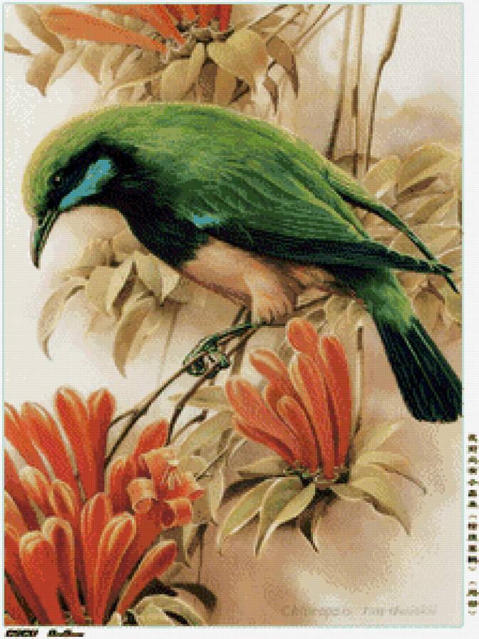 Птица на ветке - азия, восток, птицы, цветы - предпросмотр