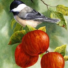 Схема вышивки «воробей»