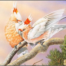 Схема вышивки «Птицы»