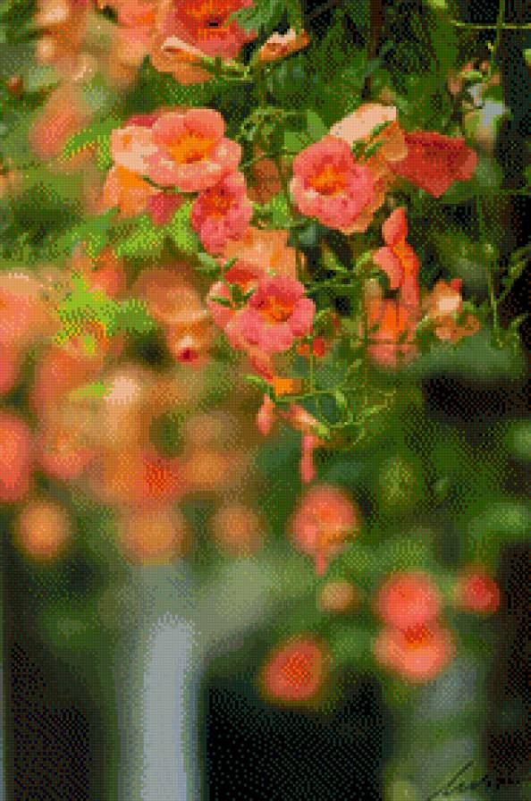 Цветущий куст - предпросмотр