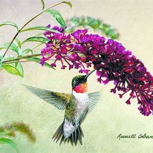 Схема вышивки «Птица»