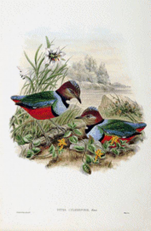 Пара птичек - предпросмотр