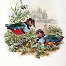 Схема вышивки «Пара птичек»