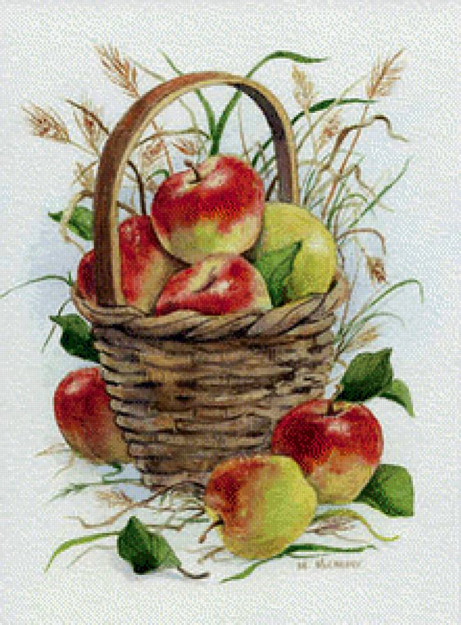 корзинка яблок - предпросмотр