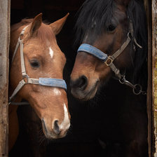 Схема вышивки «№590892»