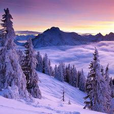 Схема вышивки «Зимний лес»