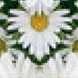 Предпросмотр схемы вышивки «Сердце из ромашек.» (№591112)