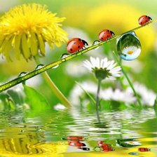 Схема вышивки «лето»