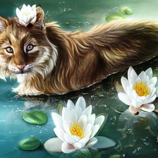 Схема вышивки «кот»