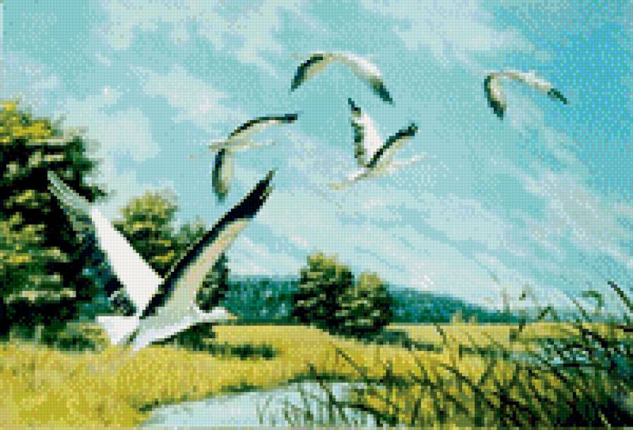 летят журавли - поле, полет, птицы, аисты - предпросмотр