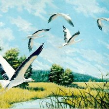 летят журавли