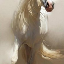 Схема вышивки «лошадь»