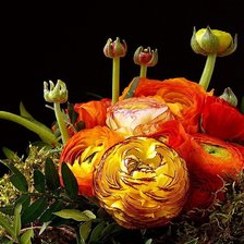 Схема вышивки «азиатские лютики»