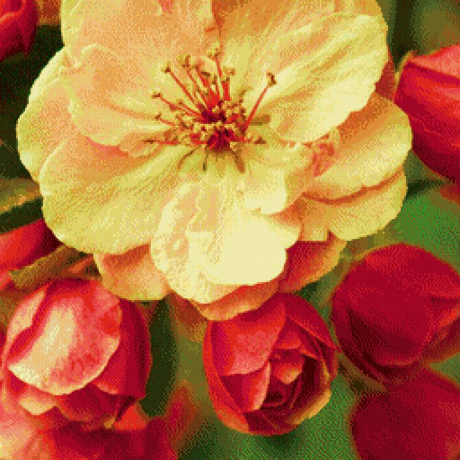 Цветение весны - весна, нежность, цветы - предпросмотр