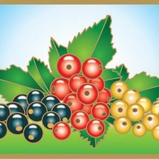 Схема вышивки «Смородинка»