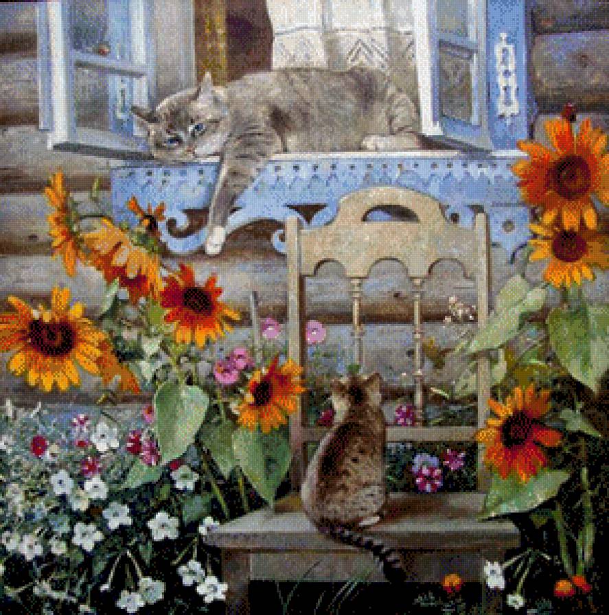 Котики - предпросмотр