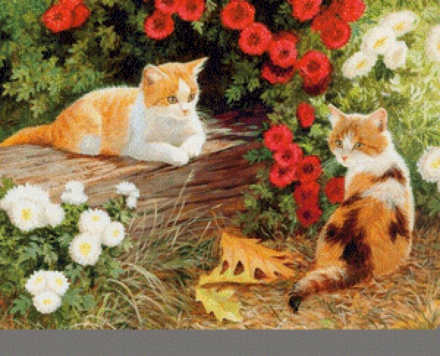 Котики - предпросмотр