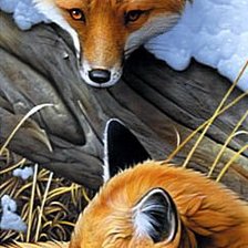 Схема вышивки «Лисички»