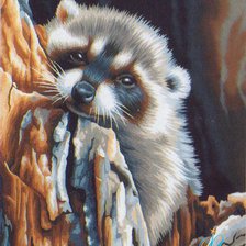 Схема вышивки «Крошка енот»