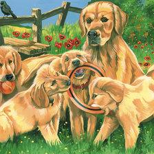 Схема вышивки «Игривые щенки»