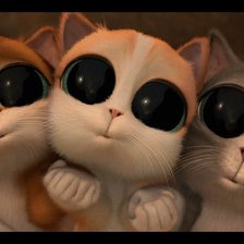 Схема вышивки «глазастые котики»