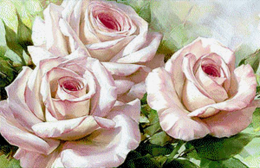 розы в дмс - предпросмотр