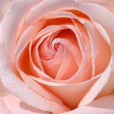 Схема вышивки «№591949»